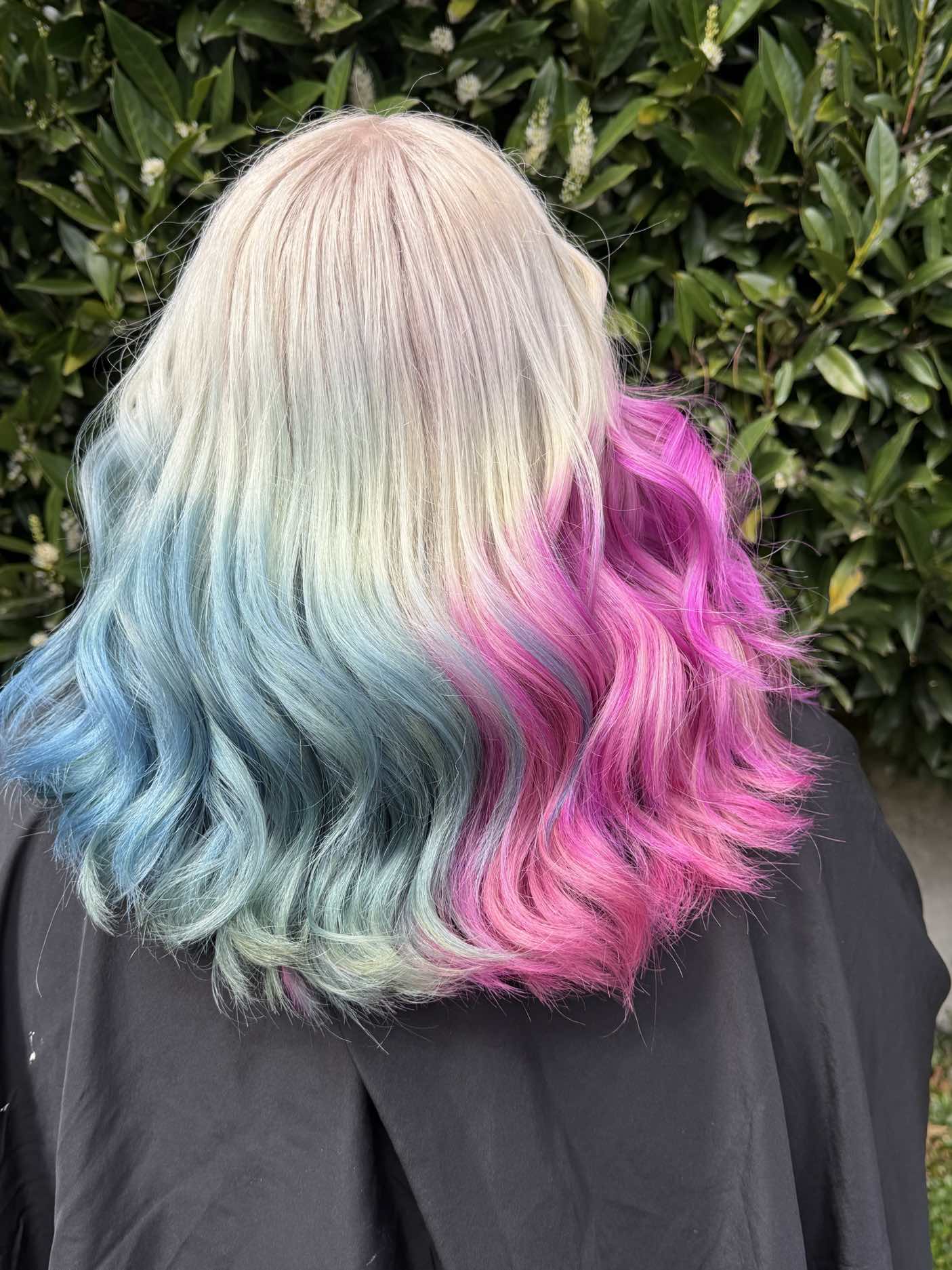 Vivid split blue and pink creative color
